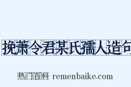 挽萧令君某氏孺人造句是什么意思的图片
